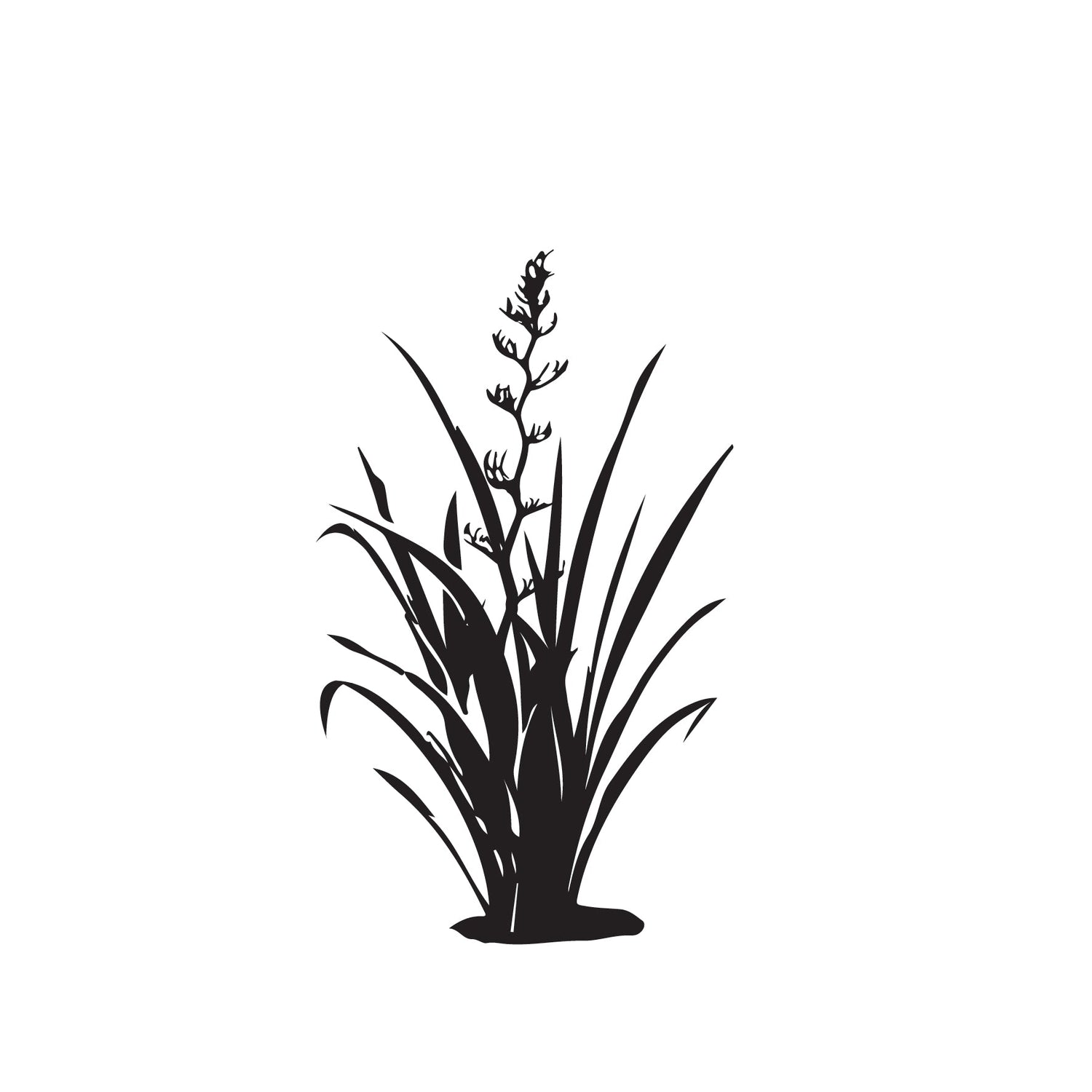 Flax - Ornamental