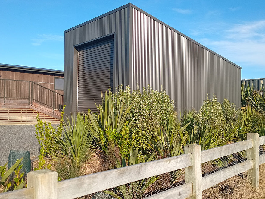 Phormium Tenax - Harakeke - NZ Flax